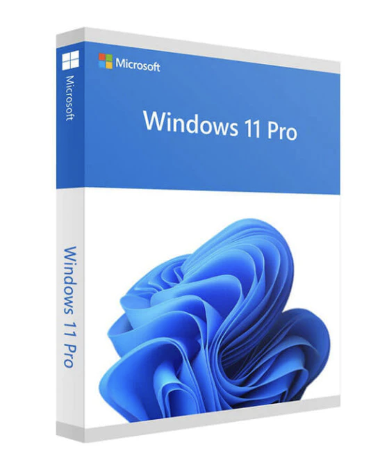 Windows 11 Professional Retail